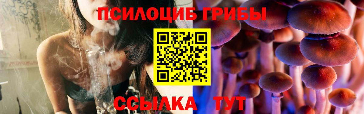 Галлюциногенные грибы Psilocybe  Псилоцибиновые грибы прущие грибы  Вход с VPN  Гулькевичи 